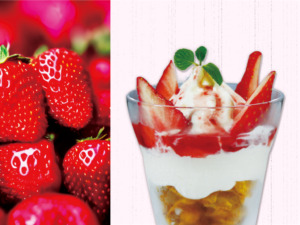 北海道ソフトクリーム　フレッシュ莓ソースショートサイズイメージ画像